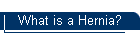 What is a Hernia?