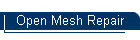 Open Mesh Repair