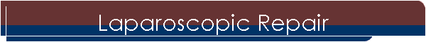 Laparoscopic Repair