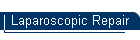 Laparoscopic Repair