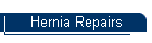 Hernia Repairs