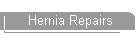 Hernia Repairs