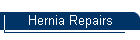 Hernia Repairs
